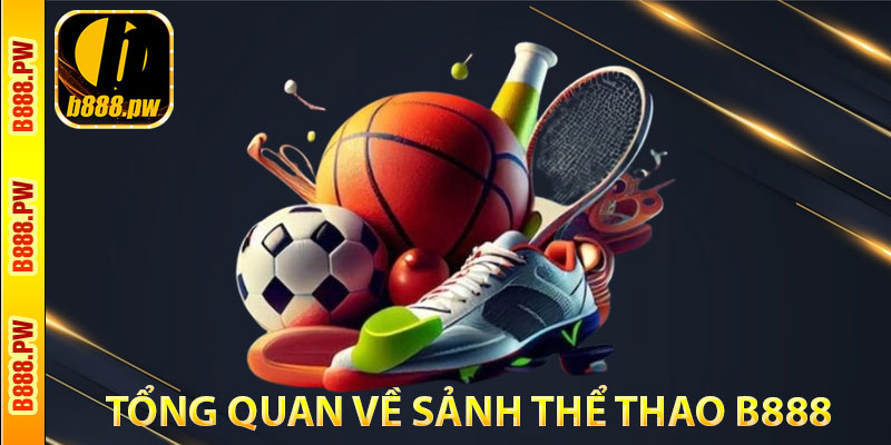 Tổng Quan Về Sảnh Thể Thao B888